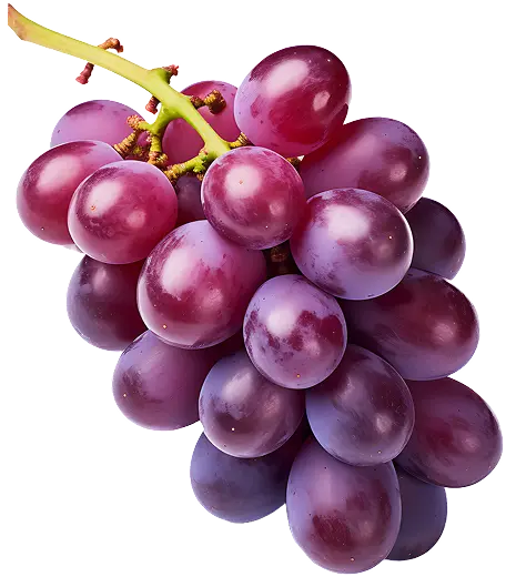 uvas