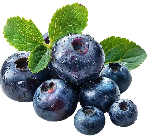 arandanos