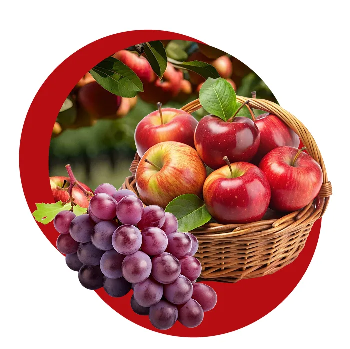Distribuidora-de-frutas-en-Costa-Rica