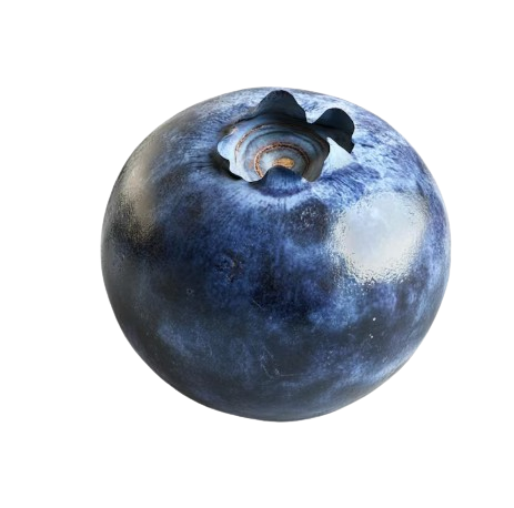 arandanos