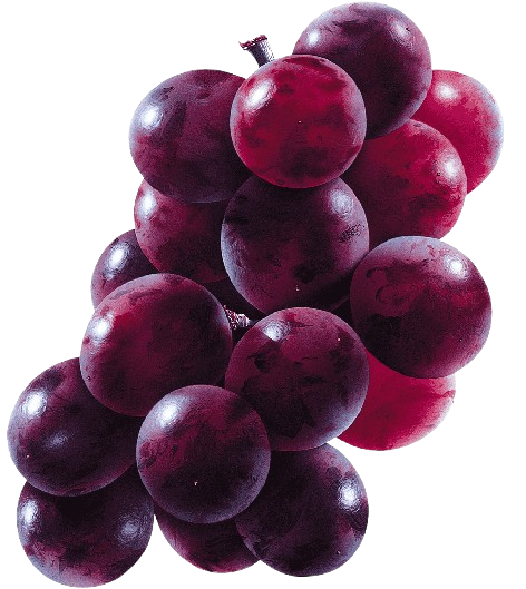 uvas-costa-rica